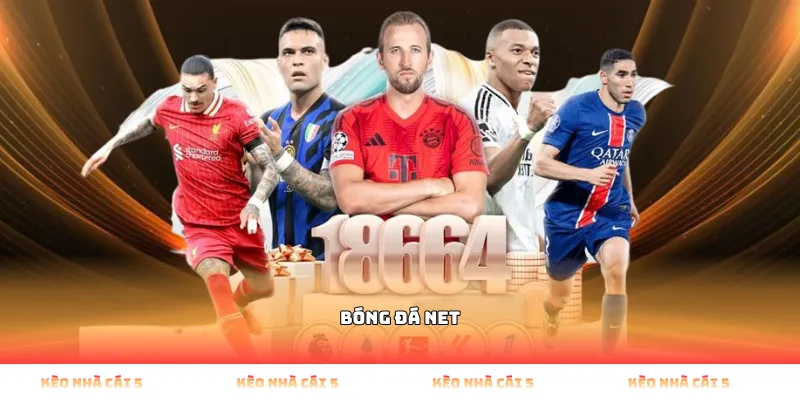 bóng đá net