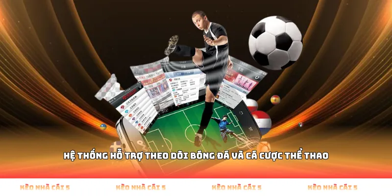 Hệ Thống Hỗ Trợ Theo Dõi Bóng Đá Và Cá Cược Thể Thao